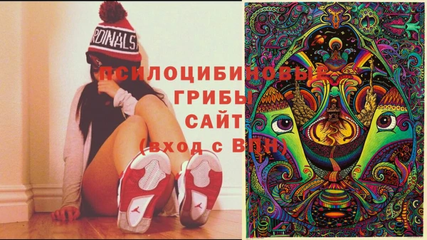 каннабис Баксан