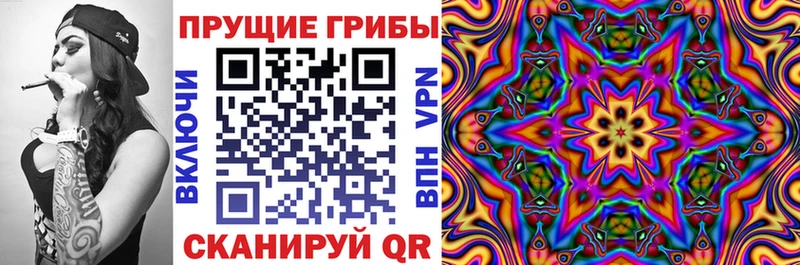 Псилоцибиновые грибы мухоморы  Купить закладки  Сегежа 
