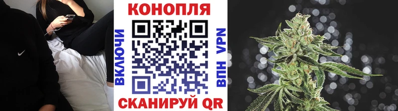 Купить где  Сегежа  Шишки марихуана OG Kush 